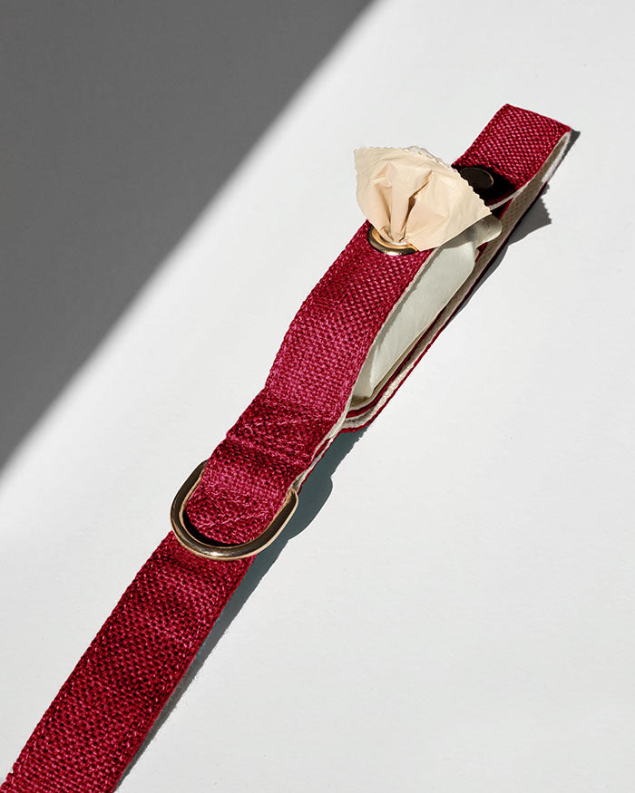 2-in-1 Hundeleine - Simply Red